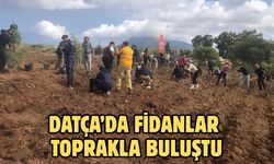 Datça’da fidanlar toprakla buluştu