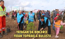 Yatağan’da binlerce fidan toprakla buluştu