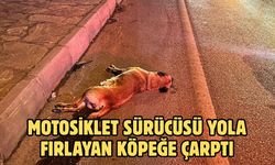 Motosiklet Sürücüsü Yola Fırlayan Köpeğe Çarptı