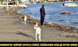 Bodrum'da yağmur suyuyla denize sürüklenen atıklar kıyıya vurdu