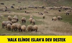 'Halk Elinde Islah’a dev destek