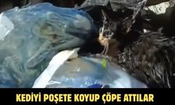 Kediyi poşete koyup çöpe attılar