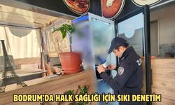 Bodrum’da halk sağlığı için sıkı denetim