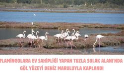 Flamingolara ev sahipliği yapan Tuzla Sulak Alanı'nda göl yüzeyi deniz maruluyla kaplandı
