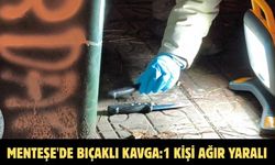 Menteşe'de bıçaklı kavga:1 kişi ağır yaralı