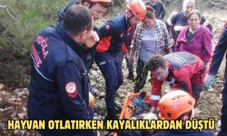 Hayvan otlatırken kayalıklardan düştü