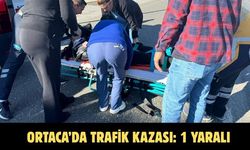Ortaca’da trafik kazası: 1 yaralı
