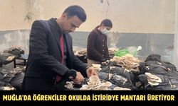Muğla'da öğrenciler okulda istiridye mantarı üretiyor