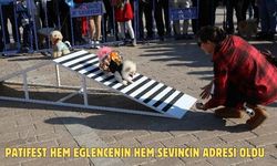 PATİFEST HEM EĞLENCENİN HEM SEVİNCİN ADRESİ OLDU