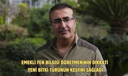 Emekli fen bilgisi öğretmeninin dikkati yeni bitki türünün keşfini sağladı