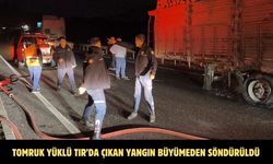 Tomruk yüklü TIR’da çıkan yangın büyümeden söndürüldü