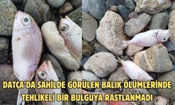 Datça’da sahilde görülen balık ölümlerinde tehlikeli bir bulguya rastlanmadı