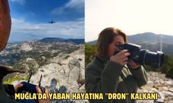 Muğla'da yaban hayatına "dron" kalkanı