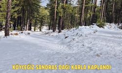 Köyceğiz Sandras Dağı karla kaplandı