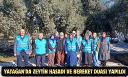 Yatağan'da zeytin hasadı ve bereket duası yapıldı