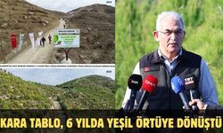 Kara tablo, 6 yılda yeşil örtüye dönüştü