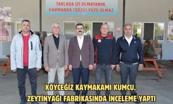 Köyceğiz Kaymakamı Kumcu, zeytinyağı fabrikasında inceleme yaptı