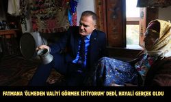 Fatmana 'Ölmeden valiyi görmek istiyorum' dedi, hayali gerçek oldu