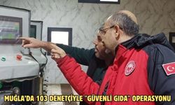 Muğla’da 103 denetçiyle "Güvenli gıda" operasyonu