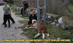 Aydınlatma direğine sıkışan buzağıyı itfaiye ekipleri kurtardı