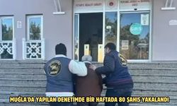 Muğla'da yapılan denetimde bir haftada 80 şahıs yakalandı