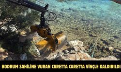 Bodrum sahiline vuran caretta caretta vinçle kaldırıldı