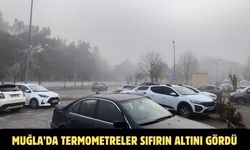 Muğla’da termometreler sıfırın altını gördü
