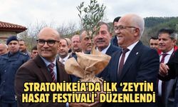 Stratonikeia’da ilk ‘Zeytin Hasat Festivali’ düzenlendi