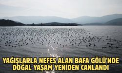 Yağışlarla nefes alan Bafa Gölü'nde doğal yaşam yeniden canlandı