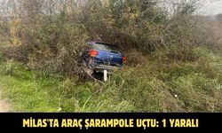 Milas'ta araç şarampole uçtu: 1 yaralı
