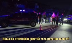 Muğla'da otomobilin çarptığı yaya hayatını kaybetti