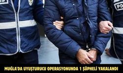 Muğla'da uyuşturucu operasyonunda 1 şüpheli yakalandı