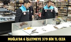 Muğla'da 6 işletmeye 379 bin TL ceza