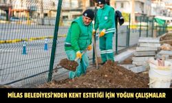 MİLAS BELEDİYESİ’NDEN KENT ESTETİĞİ İÇİN YOĞUN ÇALIŞMALAR
