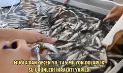 Muğla'dan geçen yıl 745 milyon dolarlık su ürünleri ihracatı yapıldı