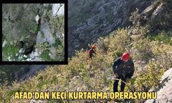 AFAD’dan keçi kurtarma operasyonu