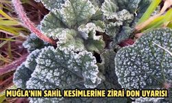 Muğla’nın sahil kesimlerine zirai don uyarısı
