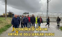 Seydikemer'de hortum, fırtına ve dolu seraları vurdu