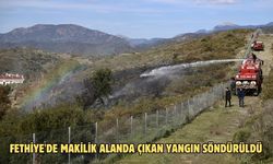 Fethiye'de makilik alanda çıkan yangın söndürüldü