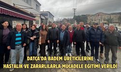 Datça’da badem üreticilerine hastalık ve zararlılarla mücadele eğitimi verildi