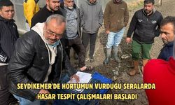 Seydikemer'de hortumun vurduğu seralarda hasar tespit çalışmaları başladı