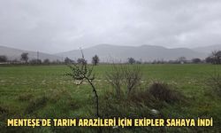 Menteşe'de tarım arazileri için ekipler sahaya indi