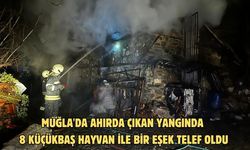 Muğla'da ahırda çıkan yangında 8 küçükbaş hayvan ile bir eşek telef oldu