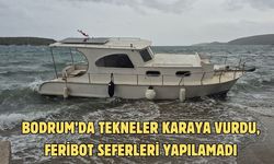 Bodrum’da tekneler karaya vurdu, feribot seferleri yapılamadı