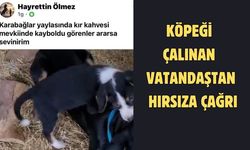 Köpeği çalınan vatandaştan hırsıza çağrı