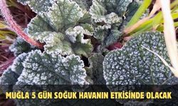 Muğla 5 gün soğuk havanın etkisinde olacak