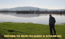 Dünyanın tek inilen yaylasında su kuyuları boş