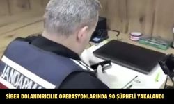 Siber dolandırıcılık operasyonlarında 90 şüpheli yakalandı