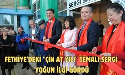 Fethiye'deki "Çin At Yılı" temalı sergi yoğun ilgi gördü