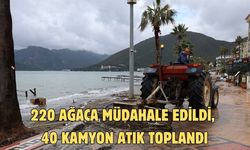 220 AĞACA MÜDAHALE EDİLDİ, 40 KAMYON ATIK TOPLANDI